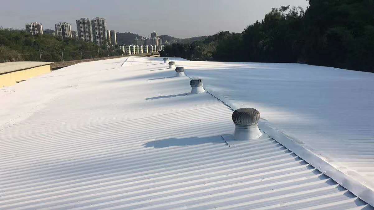 微信圖片_20200520110343 微信圖片_20200520110343